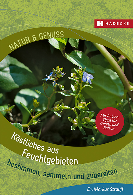 Dekoratives Bild Dekoratives Bild