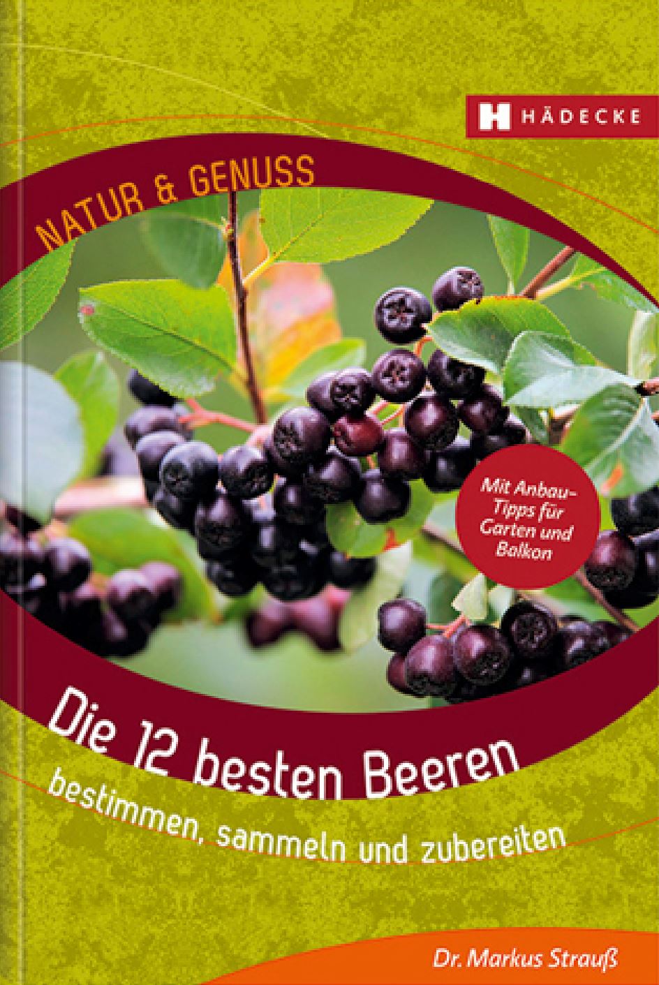 Dekoratives Bild Dekoratives Bild